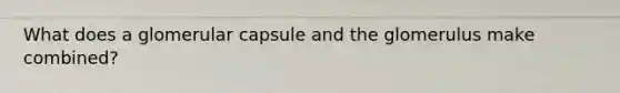 What does a glomerular capsule and the glomerulus make combined?