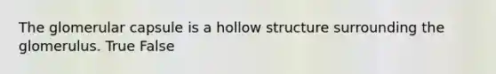 The glomerular capsule is a hollow structure surrounding the glomerulus. True False