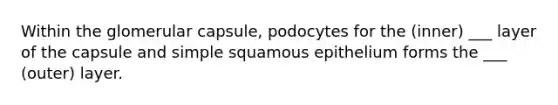 Within the glomerular capsule, podocytes for the (inner) ___ layer of the capsule and simple squamous epithelium forms the ___ (outer) layer.