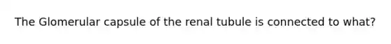 The Glomerular capsule of the renal tubule is connected to what?