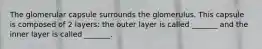 The glomerular capsule surrounds the glomerulus. This capsule is composed of 2 layers: the outer layer is called _______ and the inner layer is called _______.