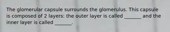 The glomerular capsule surrounds the glomerulus. This capsule is composed of 2 layers: the outer layer is called _______ and the inner layer is called _______.