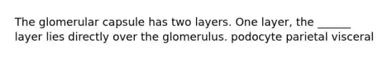 The glomerular capsule has two layers. One layer, the ______ layer lies directly over the glomerulus. podocyte parietal visceral