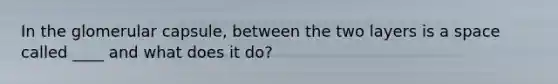 In the glomerular capsule, between the two layers is a space called ____ and what does it do?