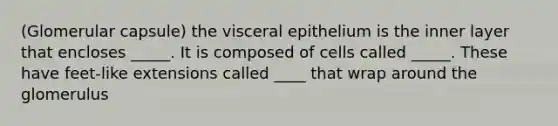 (Glomerular capsule) the visceral epithelium is the inner layer that encloses _____. It is composed of cells called _____. These have feet-like extensions called ____ that wrap around the glomerulus