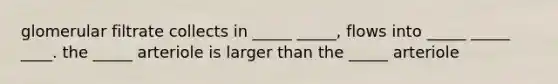 glomerular filtrate collects in _____ _____, flows into _____ _____ ____. the _____ arteriole is larger than the _____ arteriole