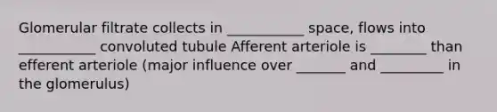 Glomerular filtrate collects in ___________ space, flows into ___________ convoluted tubule Afferent arteriole is ________ than efferent arteriole (major influence over _______ and _________ in the glomerulus)