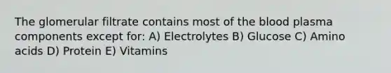 The glomerular filtrate contains most of the blood plasma components except for: A) Electrolytes B) Glucose C) Amino acids D) Protein E) Vitamins