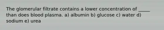 The glomerular filtrate contains a lower concentration of _____ than does blood plasma. a) albumin b) glucose c) water d) sodium e) urea