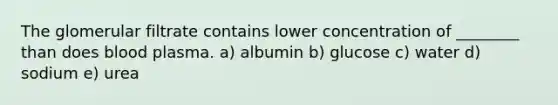 The glomerular filtrate contains lower concentration of ________ than does blood plasma. a) albumin b) glucose c) water d) sodium e) urea