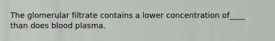 The glomerular filtrate contains a lower concentration of____ than does blood plasma.