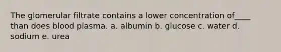 The glomerular filtrate contains a lower concentration of____ than does blood plasma. a. albumin b. glucose c. water d. sodium e. urea