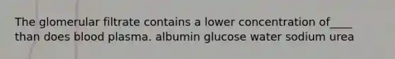 The glomerular filtrate contains a lower concentration of____ than does blood plasma. albumin glucose water sodium urea