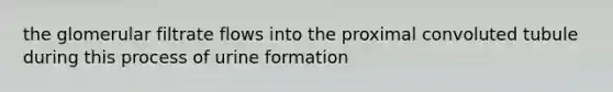 the glomerular filtrate flows into the proximal convoluted tubule during this process of urine formation