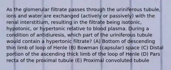 As the glomerular filtrate passes through the uriniferous tubule, ions and water are exchanged (actively or passively) with the renal interstitium, resulting in the filtrate being isotonic, hypotonic, or hypertonic relative to blood plasma. During a condition of antidiuresis, which part of the uriniferous tubule would contain a hypertonic filtrate? (A) Bottom of descending thin limb of loop of Henle (B) Bowman (capsular) space (C) Distal portion of the ascending thick limb of the loop of Henle (D) Pars recta of the proximal tubule (E) Proximal convoluted tubule