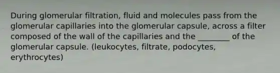 During glomerular filtration, fluid and molecules pass from the glomerular capillaries into the glomerular capsule, across a filter composed of the wall of the capillaries and the ________ of the glomerular capsule. (leukocytes, filtrate, podocytes, erythrocytes)