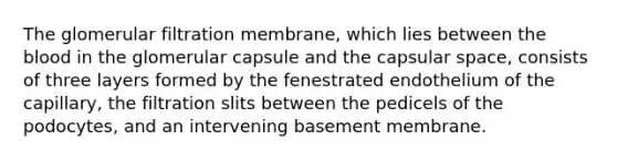 The glomerular filtration membrane, which lies between the blood in the glomerular capsule and the capsular space, consists of three layers formed by the fenestrated endothelium of the capillary, the filtration slits between the pedicels of the podocytes, and an intervening basement membrane.