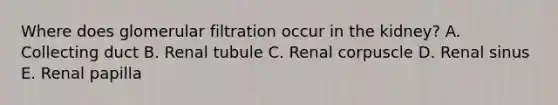 Where does glomerular filtration occur in the kidney? A. Collecting duct B. Renal tubule C. Renal corpuscle D. Renal sinus E. Renal papilla