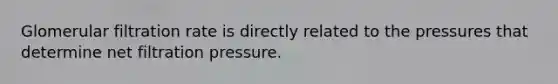 Glomerular filtration rate is directly related to the pressures that determine net filtration pressure.