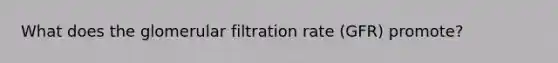 What does the glomerular filtration rate (GFR) promote?