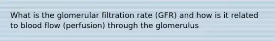 What is the glomerular filtration rate (GFR) and how is it related to blood flow (perfusion) through the glomerulus