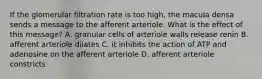 If the glomerular filtration rate is too high, the macula densa sends a message to the afferent arteriole. What is the effect of this message? A. granular cells of arteriole walls release renin B. afferent arteriole dilates C. it inhibits the action of ATP and adenosine on the afferent arteriole D. afferent arteriole constricts