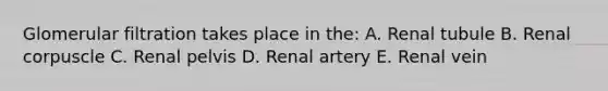 Glomerular filtration takes place in the: A. Renal tubule B. Renal corpuscle C. Renal pelvis D. Renal artery E. Renal vein