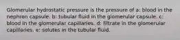 Glomerular hydrostatic pressure is the pressure of a: blood in the nephron capsule. b: tubular fluid in the glomerular capsule. c: blood in the glomerular capillaries. d: filtrate in the glomerular capillaries. e: solutes in the tubular fluid.