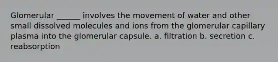 Glomerular ______ involves the movement of water and other small dissolved molecules and ions from the glomerular capillary plasma into the glomerular capsule. a. filtration b. secretion c. reabsorption