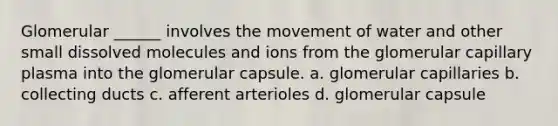 Glomerular ______ involves the movement of water and other small dissolved molecules and ions from the glomerular capillary plasma into the glomerular capsule. a. glomerular capillaries b. collecting ducts c. afferent arterioles d. glomerular capsule