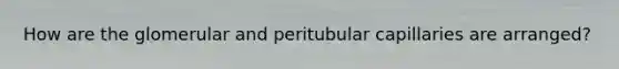 How are the glomerular and peritubular capillaries are arranged?