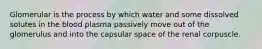Glomerular is the process by which water and some dissolved solutes in the blood plasma passively move out of the glomerulus and into the capsular space of the renal corpuscle.