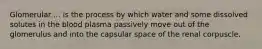 Glomerular ... is the process by which water and some dissolved solutes in the blood plasma passively move out of the glomerulus and into the capsular space of the renal corpuscle.