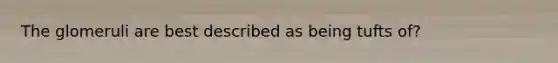 The glomeruli are best described as being tufts of?