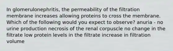 In glomerulonephritis, the permeability of the filtration membrane increases allowing proteins to cross the membrane. Which of the following would you expect to observe? anuria - no urine production necrosis of the renal corpuscle no change in the filtrate low protein levels in the filtrate increase in filtration volume