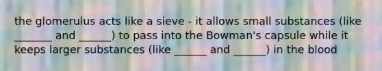 the glomerulus acts like a sieve - it allows small substances (like _______ and ______) to pass into the Bowman's capsule while it keeps larger substances (like ______ and ______) in the blood