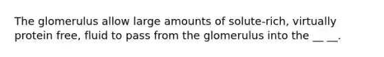 The glomerulus allow large amounts of solute-rich, virtually protein free, fluid to pass from the glomerulus into the __ __.
