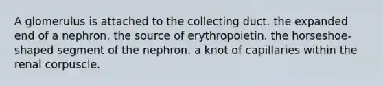 A glomerulus is attached to the collecting duct. the expanded end of a nephron. the source of erythropoietin. the horseshoe-shaped segment of the nephron. a knot of capillaries within the renal corpuscle.