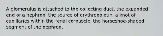 A glomerulus is attached to the collecting duct. the expanded end of a nephron. the source of erythropoietin. a knot of capillaries within the renal corpuscle. the horseshoe-shaped segment of the nephron.