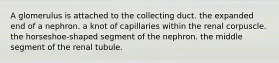 A glomerulus is attached to the collecting duct. the expanded end of a nephron. a knot of capillaries within the renal corpuscle. the horseshoe-shaped segment of the nephron. the middle segment of the renal tubule.
