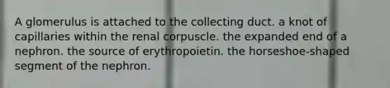 A glomerulus is attached to the collecting duct. a knot of capillaries within the renal corpuscle. the expanded end of a nephron. the source of erythropoietin. the horseshoe-shaped segment of the nephron.