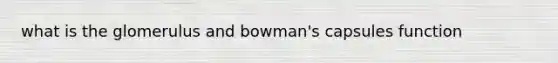 what is the glomerulus and bowman's capsules function