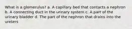 What is a glomerulus? a. A capillary bed that contacts a nephron b. A connecting duct in the urinary system c. A part of the urinary bladder d. The part of the nephron that drains into the ureters