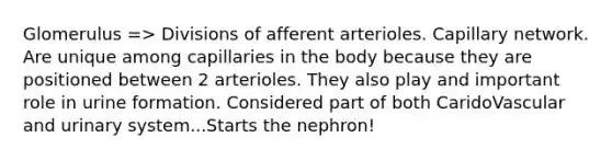 Glomerulus => Divisions of afferent arterioles. Capillary network. Are unique among capillaries in the body because they are positioned between 2 arterioles. They also play and important role in urine formation. Considered part of both CaridoVascular and urinary system...Starts the nephron!