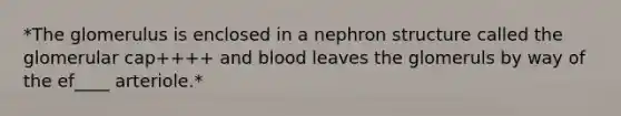 *The glomerulus is enclosed in a nephron structure called the glomerular cap++++ and blood leaves the glomeruls by way of the ef____ arteriole.*