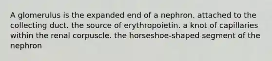 A glomerulus is the expanded end of a nephron. attached to the collecting duct. the source of erythropoietin. a knot of capillaries within the renal corpuscle. the horseshoe-shaped segment of the nephron