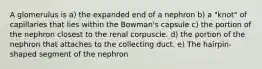 A glomerulus is a) the expanded end of a nephron b) a "knot" of capillaries that lies within the Bowman's capsule c) the portion of the nephron closest to the renal corpuscle. d) the portion of the nephron that attaches to the collecting duct. e) The hairpin-shaped segment of the nephron