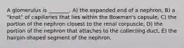 A glomerulus is ________. A) the expanded end of a nephron, B) a "knot" of capillaries that lies within the Bowman's capsule, C) the portion of the nephron closest to the renal corpuscle, D) the portion of the nephron that attaches to the collecting duct, E) the hairpin-shaped segment of the nephron.