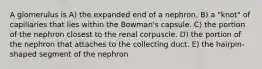 A glomerulus is A) the expanded end of a nephron. B) a "knot" of capillaries that lies within the Bowman's capsule. C) the portion of the nephron closest to the renal corpuscle. D) the portion of the nephron that attaches to the collecting duct. E) the hairpin-shaped segment of the nephron