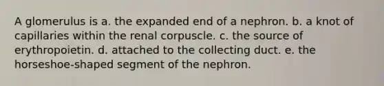 A glomerulus is a. the expanded end of a nephron. b. a knot of capillaries within the renal corpuscle. c. the source of erythropoietin. d. attached to the collecting duct. e. the horseshoe-shaped segment of the nephron.